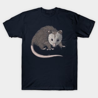 Opossum T-Shirt